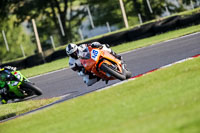 Evening_Adv_Mid_Group